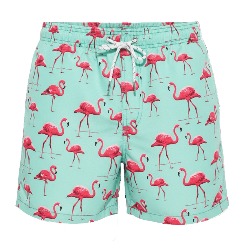 Green Flamingo Shorts - Coastier